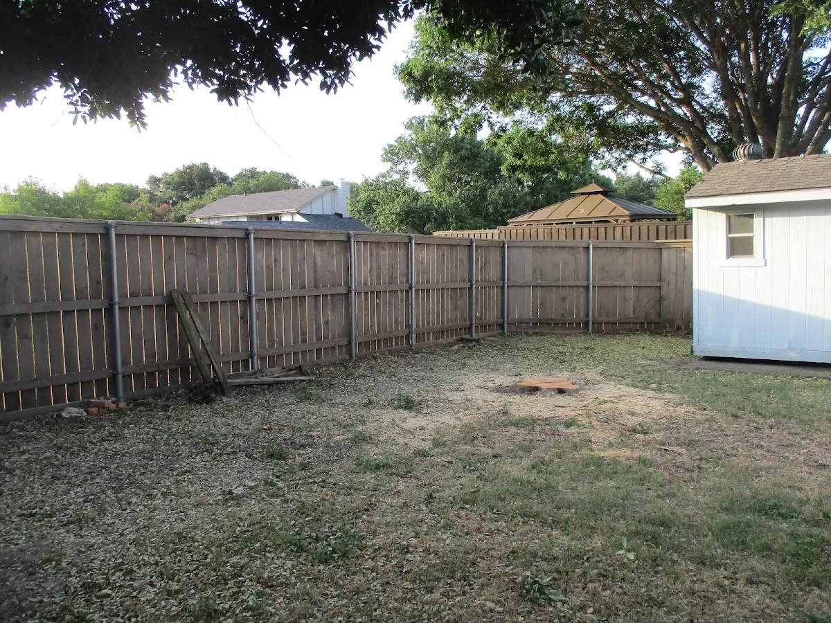 Cleared yard after professional tree removal in Wessington Springs