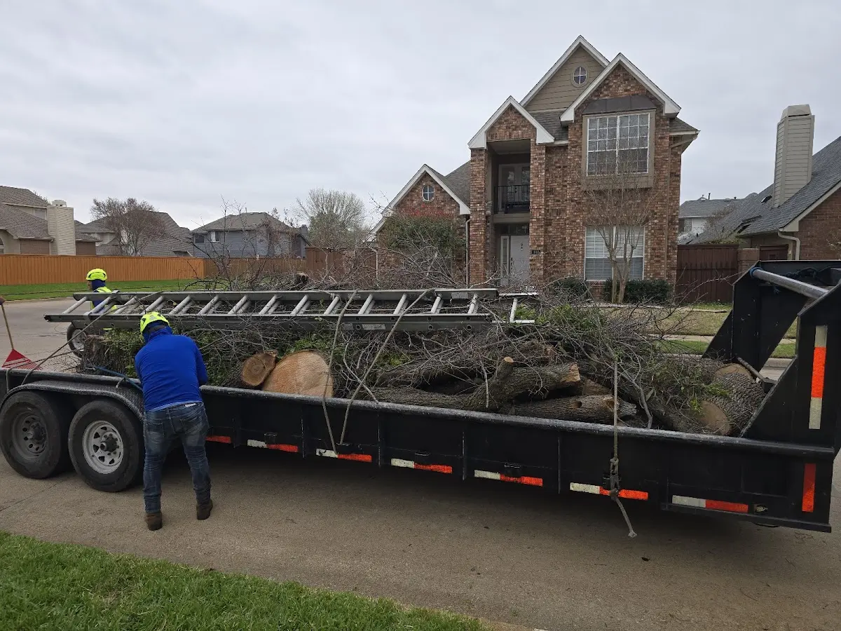 Expert Tree Fertilization with proper safety equipment in Wessington Springs